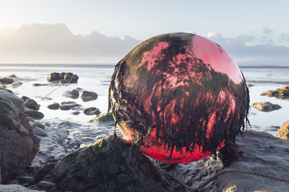 Orb