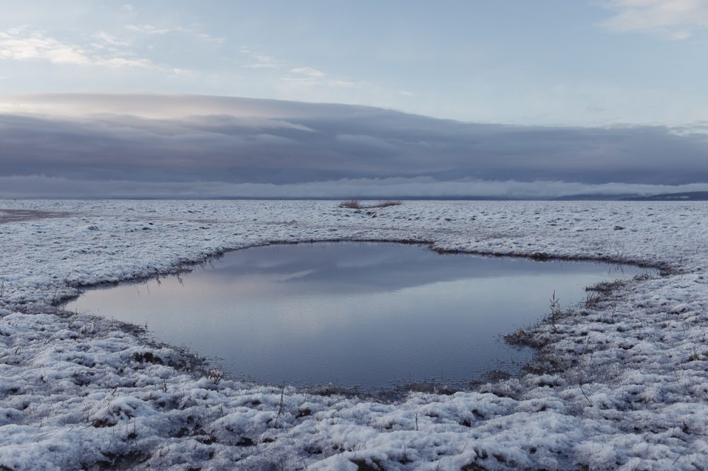 Frozen Marsh - Photograph
