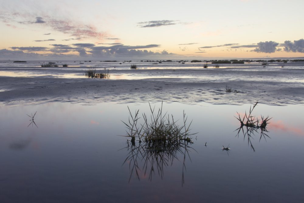 New Islands - Photograph