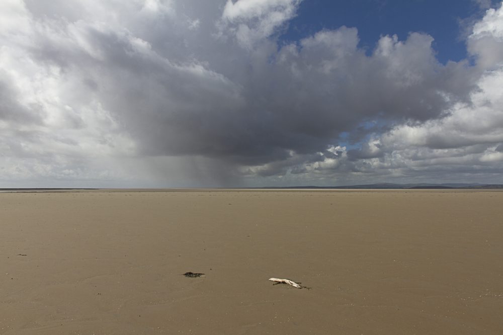 Driftwood and Storm - Photograph by Debbie Yare