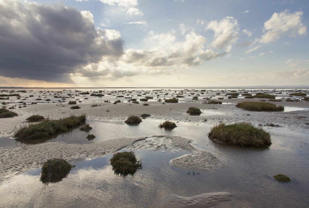 Hundreds of Tiny Islands - Photograph
